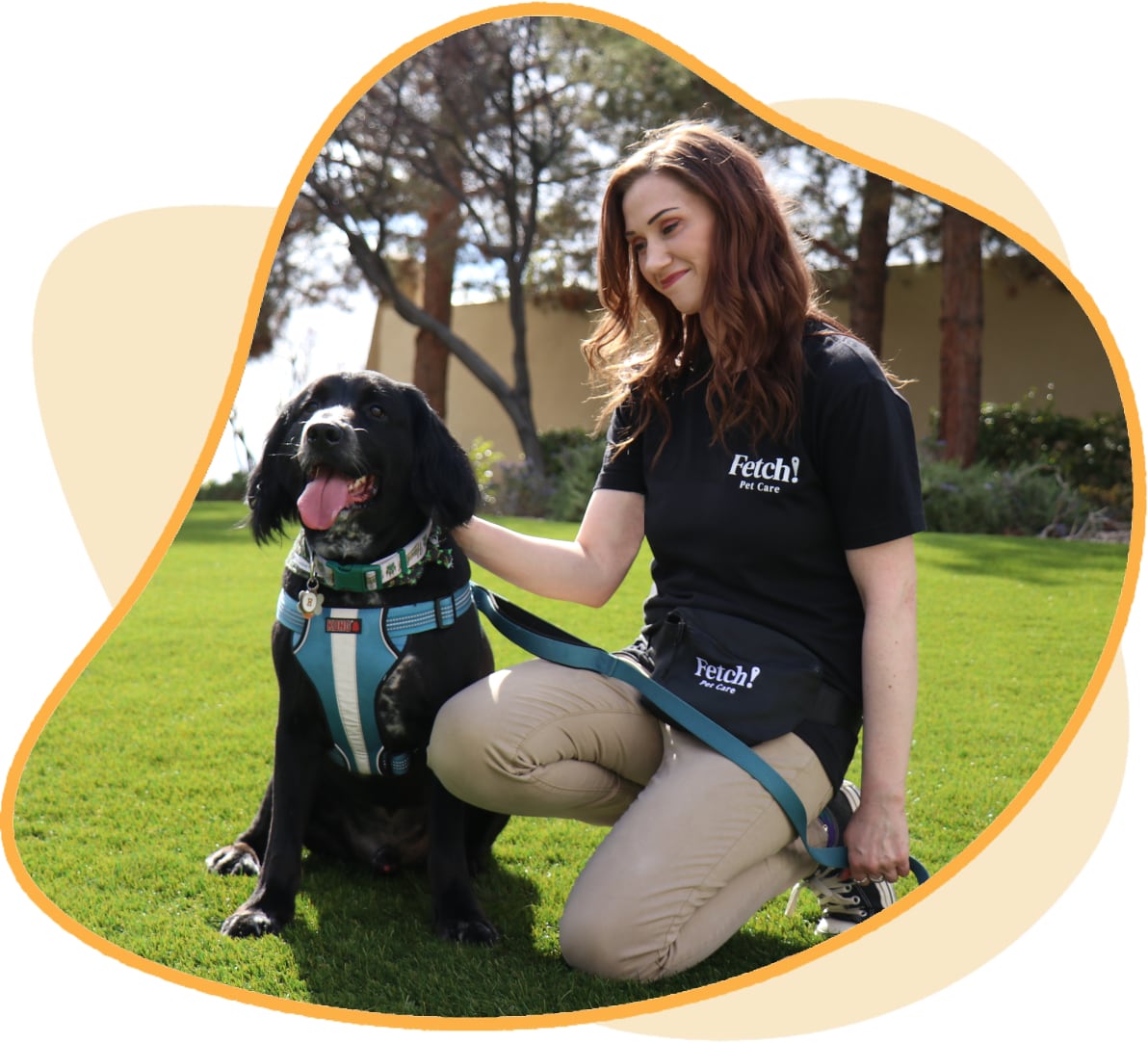 Pet Sitter in Springfield, WI